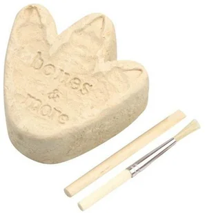 Geo Kids/Navir/DAM Bones&More, Duży szkielet dinozaura - wykopalisko odcisk łapy mokopico-1752-0 - Zabawki kreatywne - miniaturka - grafika 3