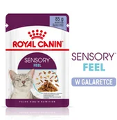 Mokra karma dla kotów - Royal Canin Sensory Feel w galarecie - 24 x 85 g - miniaturka - grafika 1