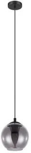 Eglo Ariscani 98651 lampa wisząca zwis oprawa 1x40W E27 czarna dymiona - Lampy sufitowe - miniaturka - grafika 2