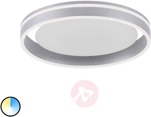 Paul Neuhaus Inteligentna lampa sufitowa stal 40 cm z pilotem - Ronith - Systemy inteligentnych domów - miniaturka - grafika 6