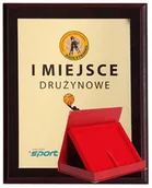 Gadżety dla kibiców - UPOMINKARNIA Dyplom Z Tworzywa Sztucznego Z Laminatem Colour Touch + Etui 305X245 Mm victoriasport-HG2554+ETUI/G-0 - miniaturka - grafika 1