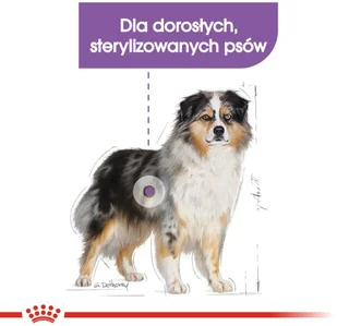 Royal Canin Medium Sterilised 12 kg - Sucha karma dla psów - miniaturka - grafika 5