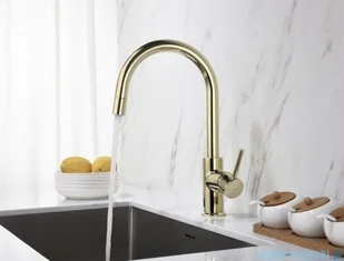 Blue Water Plaza bateria kuchenna z wyciąganą wylewką złota 5901730615804 - Baterie umywalkowe - miniaturka - grafika 3