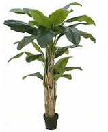 Sztuczne drzewka - Europalms EUROPALMS Drzewo bananowe, sztuczna roślina, 170 cm 82509539 - miniaturka - grafika 1