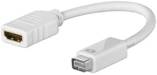 Goobay Wentronic Mini DVI M - HDMI F, SB przej$12ciówka (PB640-D-WW) - Złącza, przejściówki, adaptery Goobay Wentronic Mini DVI M - HDMI F, SB przej$12ciówka (PB640-D-WW) - Złącza, przejściówki, adaptery - miniaturka - grafika 1