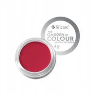 Żele do paznokci - Silcare Akryl Do Paznokci Kolorowy Proszek 01 4g - miniaturka - grafika 1