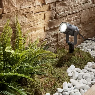 Lampenwelt com Spot zewnętrzny Galina, grot ziemny, 10 cm - Lampy ogrodowe - miniaturka - grafika 3