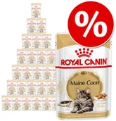 Mokra karma dla kotów - Royal Canin Royal Canin Maine Coon Adult 85g - miniaturka - grafika 1
