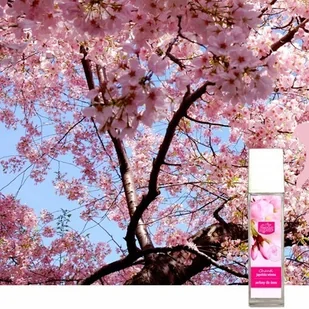 Kala KALA CHANTI Olejek zapachowy japońska wiosna 100ml 5907731395083 - Zapachy do domu - miniaturka - grafika 2