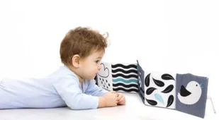 Clementoni Czarno-biała książeczka kontrastowa 17355 - Zabawki sensoryczne - miniaturka - grafika 4