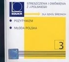 Streszczenia i omówienia z języka polskiego pozytywizm i młoda polska - Książki o kulturze i sztuce - miniaturka - grafika 2