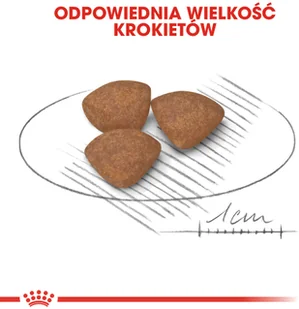 Royal Canin ROYAL CANIN Mini Junior 800g 172610 - Mokra karma dla psów - miniaturka - grafika 6