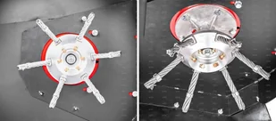 Polska CEDRUS SZCZOTKA METALOWA DRUCIANA CEDRUS 500177 DO CEDRUS SC01 ODCHWASZCZARKA SPALINOWA SZCZOTKA ZAMIATARKA OCZYSZCZARKA DO USUWANIA MCHU CHWASTÓW CZYSZCZENIA KOSTKI BRUKOWEJ ,CHODNIKÓW/ KOSIARKA ŻYŁKOWA 2w1 500177 - Pozostałe narzędzia ogrodowe - miniaturka - grafika 4