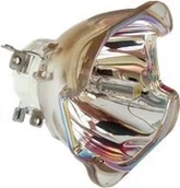 Lampy do projektorów - Lampa do CANON REALiS WUX6000 - oryginalna lampa bez modułu RS-LP09 - miniaturka - grafika 1