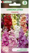 Nasiona i cebule - Legutko Lewkonia letnia MIESZANKA - miniaturka - grafika 1