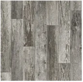 Wykładziny - Lentex Wykładzina PCV 4 m Maxima Eco 581-02 581-02 - miniaturka - grafika 1