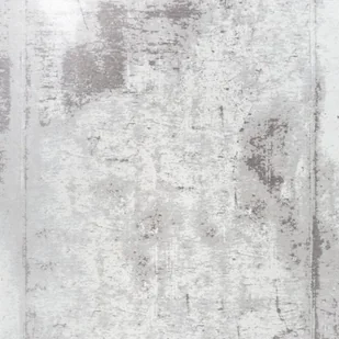 Fargotex Dywan Beto Gray 200x300 cm 4808 - Dywany Fargotex Dywan Beto Gray 200x300 cm 4808 - Dywany - miniaturka - grafika 1