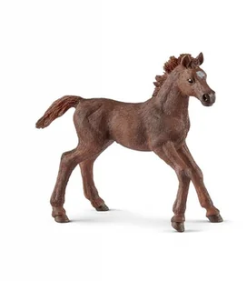 Schleich Źrebak pełenej krwi angielskiej GXP-622474 - Figurki dla dzieci - miniaturka - grafika 3