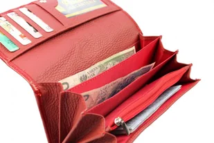 PolskaGalanteria.pl Portfel Damski PolskaGalanteria Z Wstawką Skóra Węża Długi Max Z Suwakiem Skóra Naturalna CZERWONY KP D13-WST - Portfele - miniaturka - grafika 4