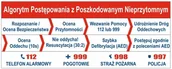Pomoce naukowe - Algorytm postępowania - pierwsza pomoc ES016 - miniaturka - grafika 1