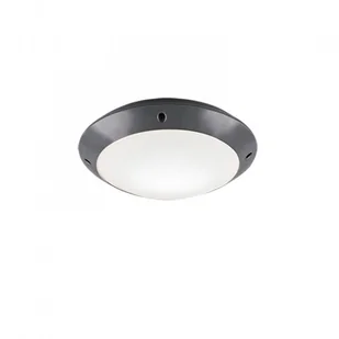 Trio T R I O CAMARO plafon R60501042) R60501042 - Lampy ogrodowe - miniaturka - grafika 2