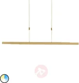 Lampy sufitowe - Paul Neuhaus Adriana lampa wisząca LED CCT mosiądz Adriana lampa wisząca LED CCT mosiądz - miniaturka - grafika 1