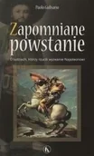 Historia świata - Bratni zew Zapomniane powstanie Paolo Gulisano BZ0008842 - miniaturka - grafika 1