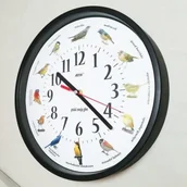 Zegary - Atrix Zegar z głosami ptaków #1 plastik czarny ATE2014BPT1W - miniaturka - grafika 1