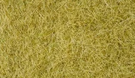 Akcesoria i części modelarskie - Noch Jeszcze 07091  Wild trawy, 6 MM, Beige - miniaturka - grafika 1