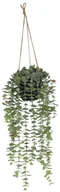 Sztuczne kwiaty - SPLENDID Eukaliptus sztuczny wiszący w doniczce 45 cm SPLENDID - miniaturka - grafika 1