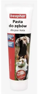 Beaphar Pasta do zębów o smaku mięsa dla psa i kota 100ml 13545 - Suplementy i witaminy dla psów - miniaturka - grafika 4