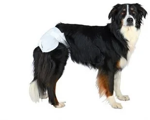 Trixie Pieluchy/Majtki dla suki 12szt/op XL [23636] 11751 - Specjalistyczne artykuły dla zwierząt - miniaturka - grafika 4