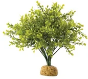 Dekoracje do terrarium - Exo Terra bukszpan - miniaturka - grafika 1