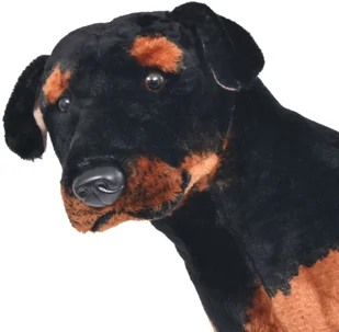 vidaXL vidaXL Pluszowy rottweiler, stojący, czarno-brązowy, XXL - Maskotki i pluszaki - miniaturka - grafika 3
