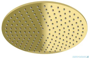 Kohlman Axel Gold zestaw prysznicowy z deszczownicą 30 cm złoty połysk QW210AGDR30 | - Zestawy prysznicowe Kohlman Axel Gold zestaw prysznicowy z deszczownicą 30 cm złoty połysk QW210AGDR30 | - Zestawy prysznicowe - miniaturka - grafika 4