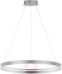 Paul Neuhaus Inteligentna lampa wisząca stal 79 cm z pilotem - Ronith - Systemy inteligentnych domów - miniaturka - grafika 3