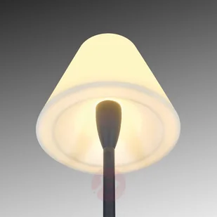 SLV Elegancka stojąca lampa zewnętrza Adegan - Lampy ogrodowe - miniaturka - grafika 2