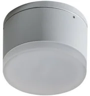 Lampy ogrodowe - AZZARDO APULIA AZ4334 downlight natynkowy 1x10W/LED IP54 AZ4334 - miniaturka - grafika 1