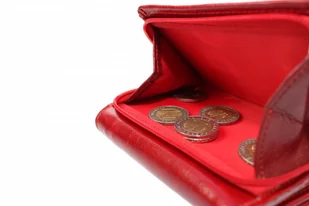 CRIS-POL (PL) Wygodny Portfel Damski Skórzany CRIS-POL(PL) Skóra Licowa 14 cm Kieszeń Na Zewnątrz Na Suwak - Portfele - miniaturka - grafika 5