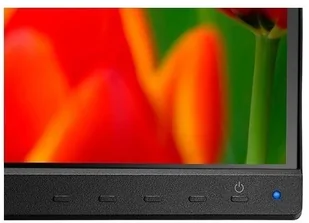 NEC E243F Czarny - Monitory - miniaturka - grafika 5