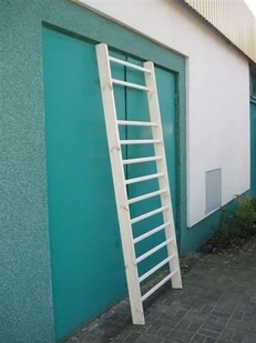 Drabinka gimnastyczna 210 x 90 cm z okuciem - Marbo Sport 1005466 - Wyposażenie sportowe i gimnastyczne - miniaturka - grafika 3