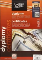 Dyplomy i okładki - Argo Dyplom A4/A5 170g Francja - opak 25ark - miniaturka - grafika 1