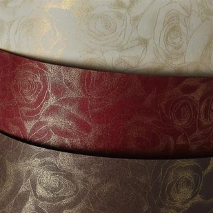 Argo Karton Ozdobny Premium 250g/m2 - RÓŻE kolor BORDOWY - 20 A4 202916 - Papier do drukarek - miniaturka - grafika 3