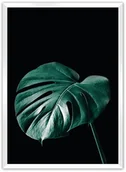 Plakaty - Dekoria Dekoria Plakat Dark Monstera 70 x 100 cm Ramka Biała 223F-000-21 - miniaturka - grafika 1