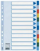 Segregatory - Esselte PRZEKLADKI Z PP KOLOROWE A4 12 KART - miniaturka - grafika 1