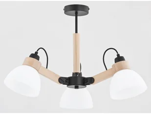 Alfa Lampa sufitowa nowoczesna 3pł DANTONA 24173 ALF24173 - Lampy sufitowe Alfa Lampa sufitowa nowoczesna 3pł DANTONA 24173 ALF24173 - Lampy sufitowe - miniaturka - grafika 1