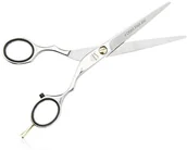 Kosmetyki do stylizacji włosów - Jaguar 14539 styl Ergo Pre 6 inch P, 1er Pack (1 X 1 sztuki) 14539 - miniaturka - grafika 1