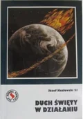 Religia i religioznawstwo - Duch Święty w działaniu Używana - miniaturka - grafika 1