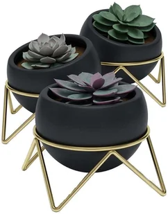 Umbra Potsy 3 Szt Czarne Doniczki Osłonki Na Kwiaty Ceramiczne Na Stojaku - Donice Umbra Potsy 3 Szt Czarne Doniczki Osłonki Na Kwiaty Ceramiczne Na Stojaku - Donice - miniaturka - grafika 1