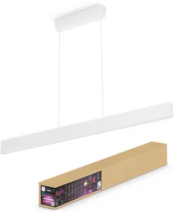 Philips Philips Hue Ensis white 2x39W 24V | 929003053301 - Systemy inteligentnych domów - miniaturka - grafika 2